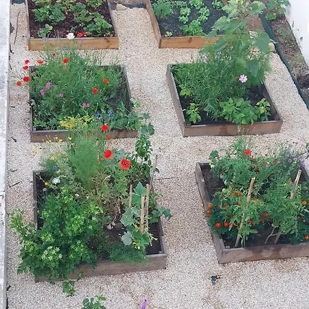 Appartement Casa Oliveiras Avec Terrasse Et Piscine Loulé