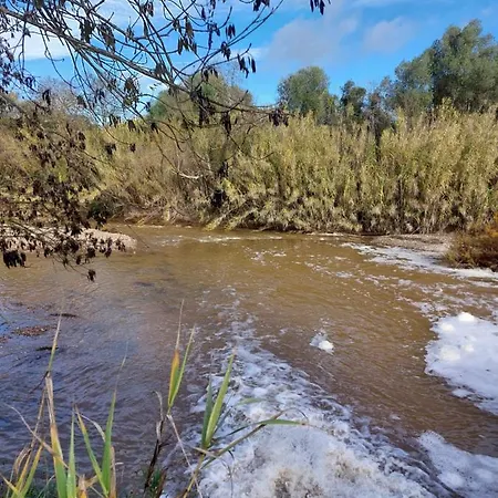Casa Oliveiras Avec Terrasse Et Piscine Loulé