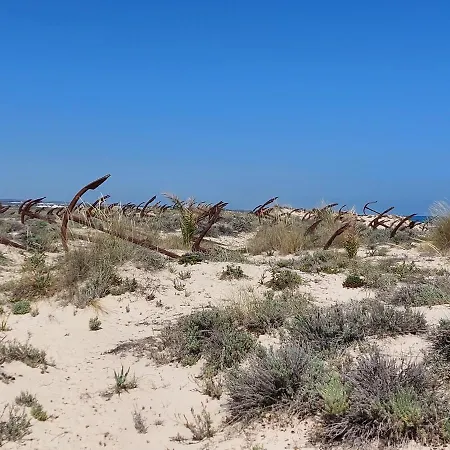 Casa Oliveiras Avec Terrasse Et Piscine *