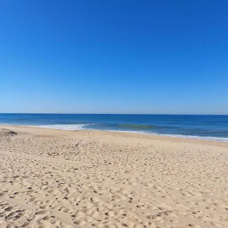 Casa Oliveiras Avec Terrasse Et Piscine Appartamento *