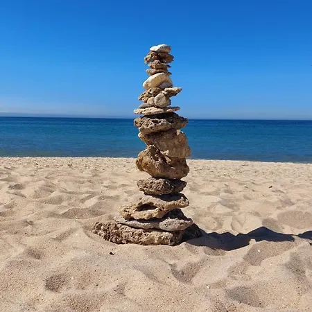 Casa Oliveiras Avec Terrasse Et Piscine Loulé