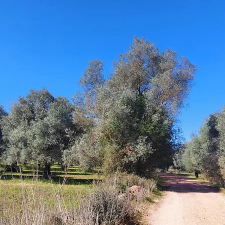 Appartamento Casa Oliveiras Avec Terrasse Et Piscine Loulé