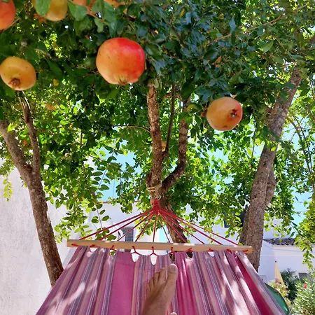 Casa Oliveiras Avec Terrasse Et Piscine Loulé